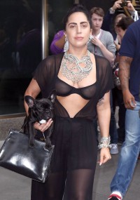 Lady Gaga see through bra